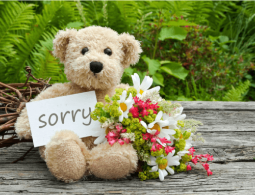 Sorry! The Power of Apology